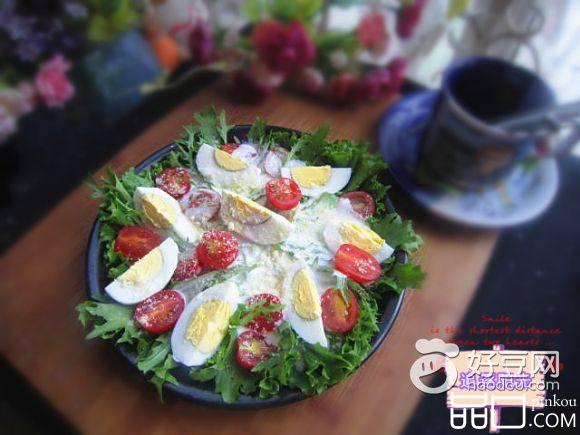酸奶蔬菜沙拉