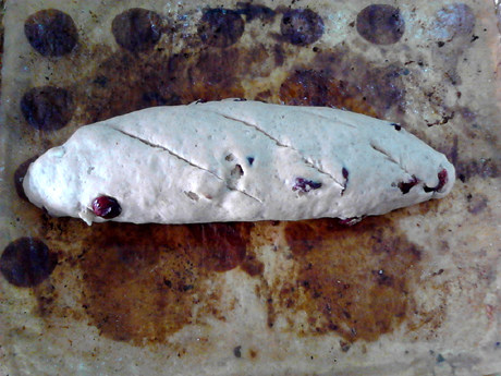 菠萝蜜核蔓越莓面包步骤9