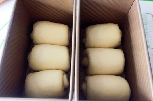 烫种牛奶吐司步骤12