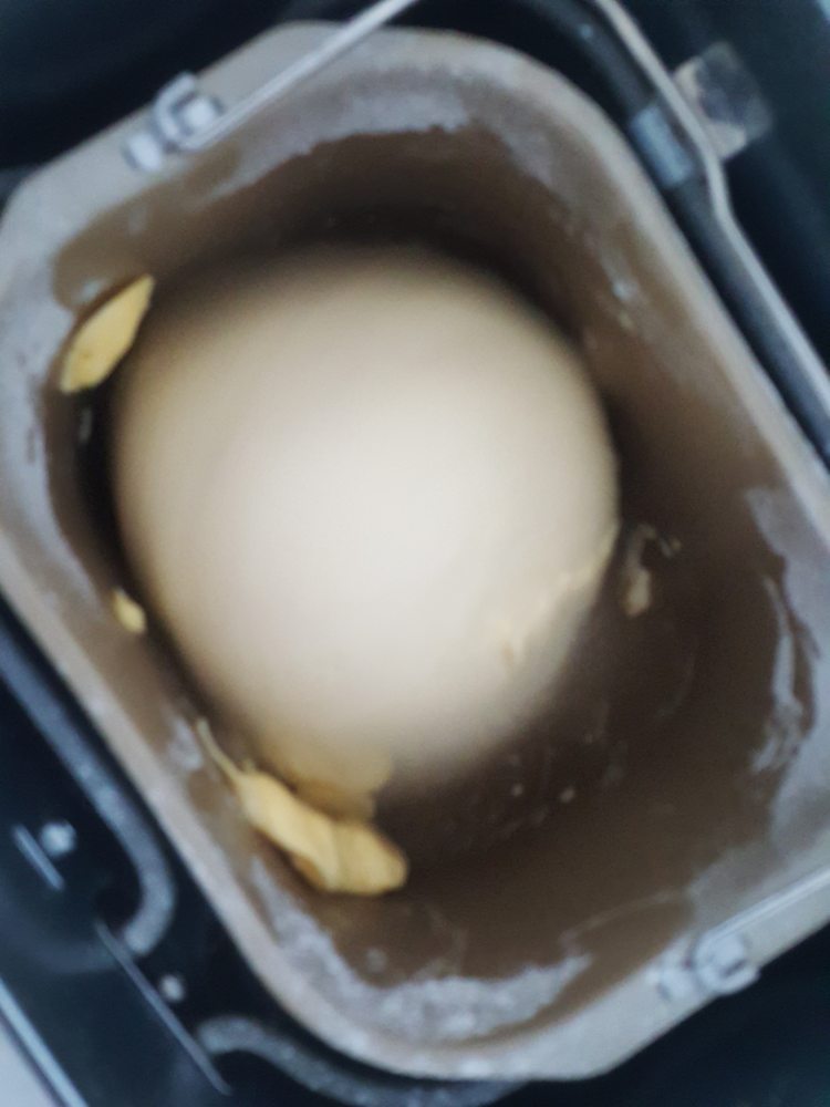 椰蓉老面包步骤5