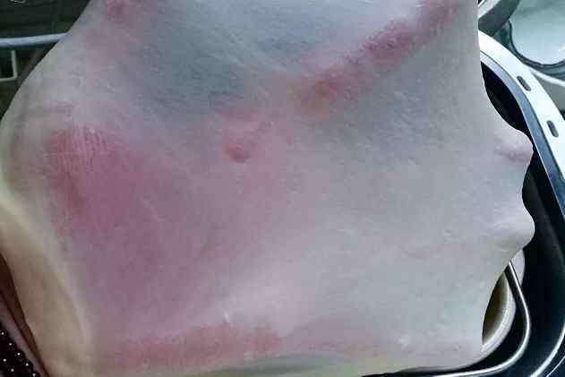 酸奶中种排包步骤6