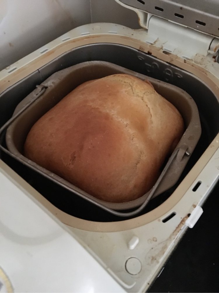 原味面包步骤11