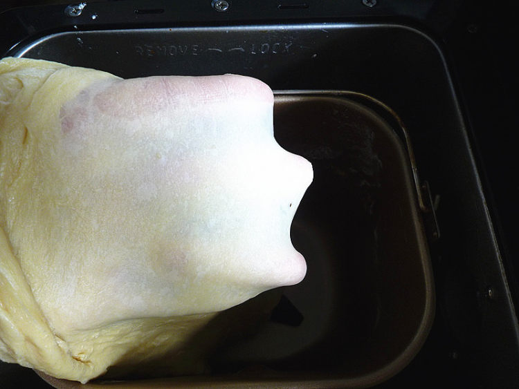 肉松面包卷步骤5