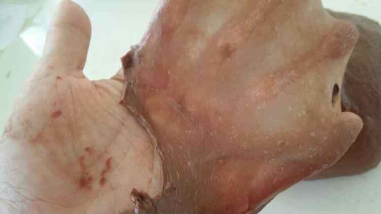 黑眼豆豆面包步骤4