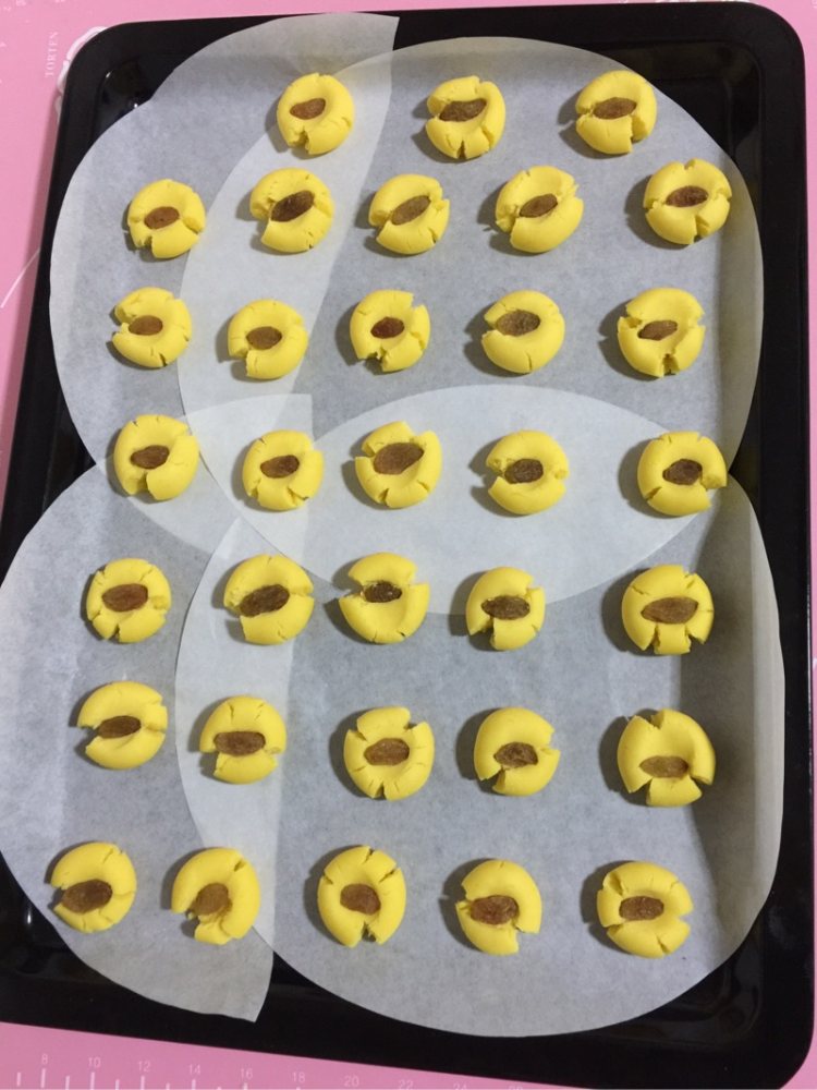 葡萄干玛格丽特饼干步骤15