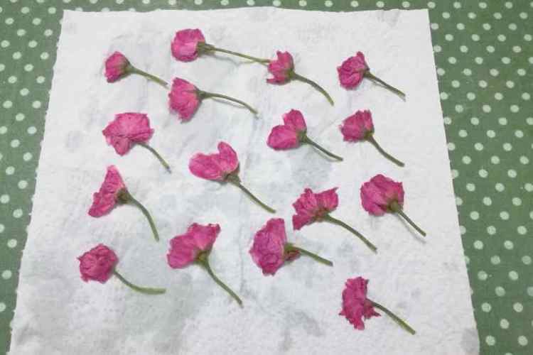 樱花瓦片酥步骤2