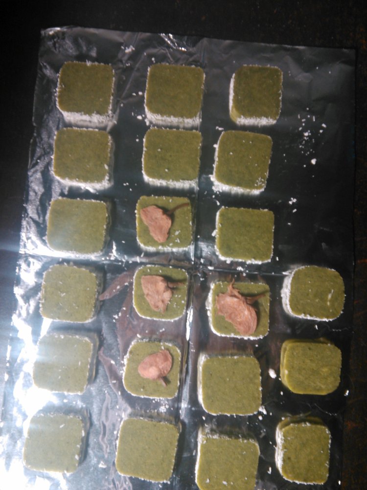 抹茶米粉饼干步骤13