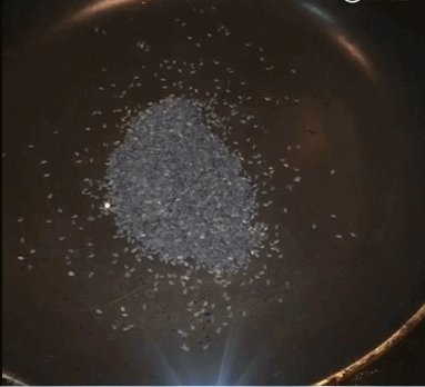 蛋黄芝麻小饼步骤1