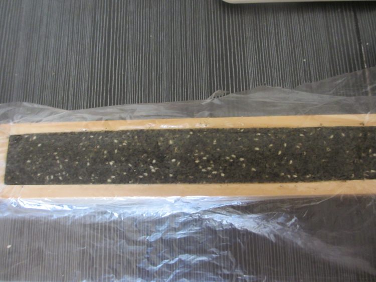养生黑白芝麻饼干步骤7
