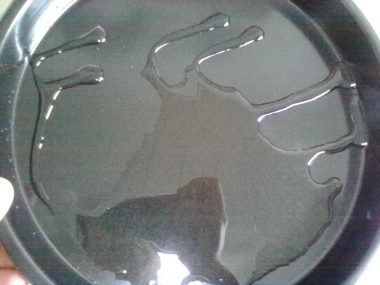 土豆火腿沙拉披萨步骤7
