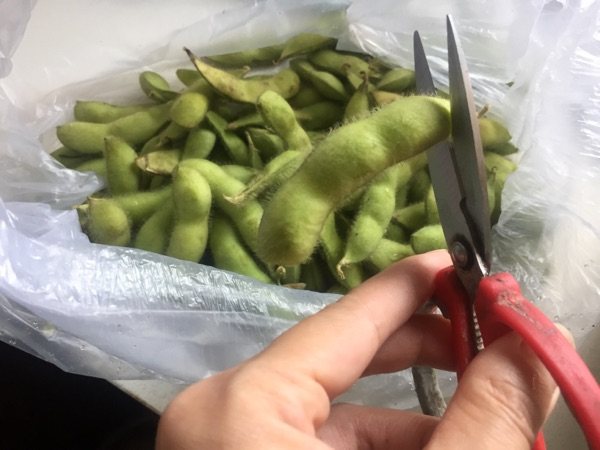 糟卤毛豆步骤1