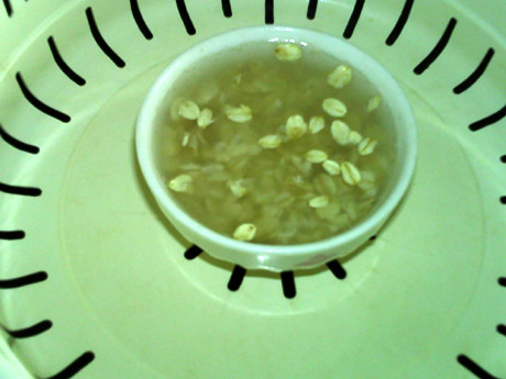 燕麦红枣酸奶步骤3