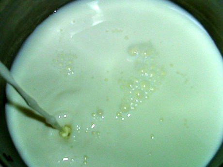 牛奶薏米粥步骤6