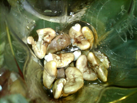 菱角糕步骤3