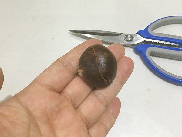 糖水烤栗子步骤2