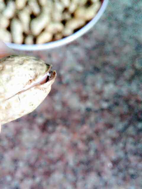 电饭煲煮麻辣香花生步骤2