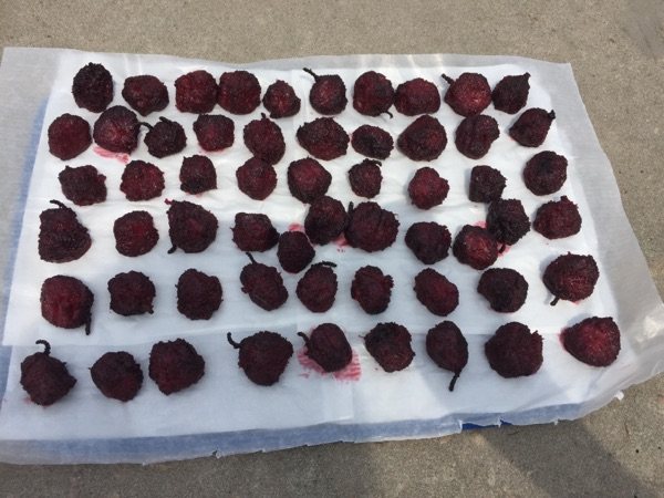 自制杨梅干步骤10