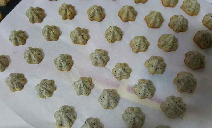 黑芝麻酸奶溶豆步骤12