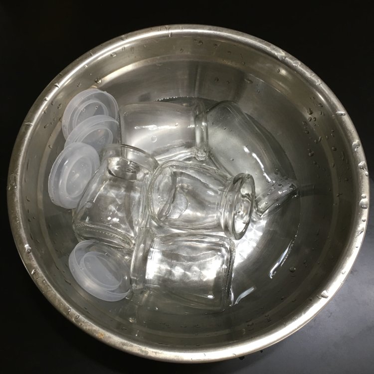 菠萝冰激凌酸奶步骤6
