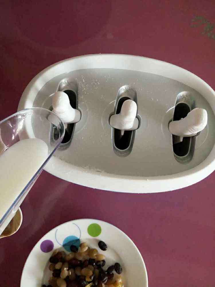 酸奶蜜豆冰棒步骤4