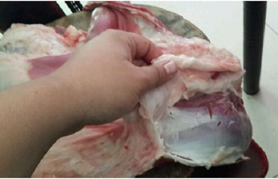 羊肉串的烧烤店切法和步骤3