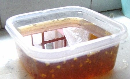 清甜桂花茶冻步骤6
