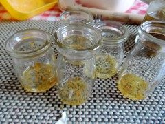 糖桂花布丁步骤7