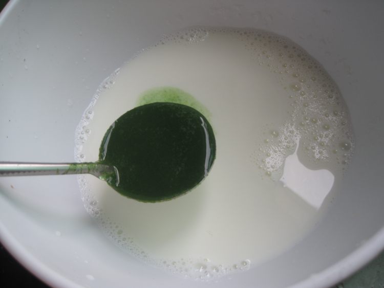 菠菜布丁步骤4