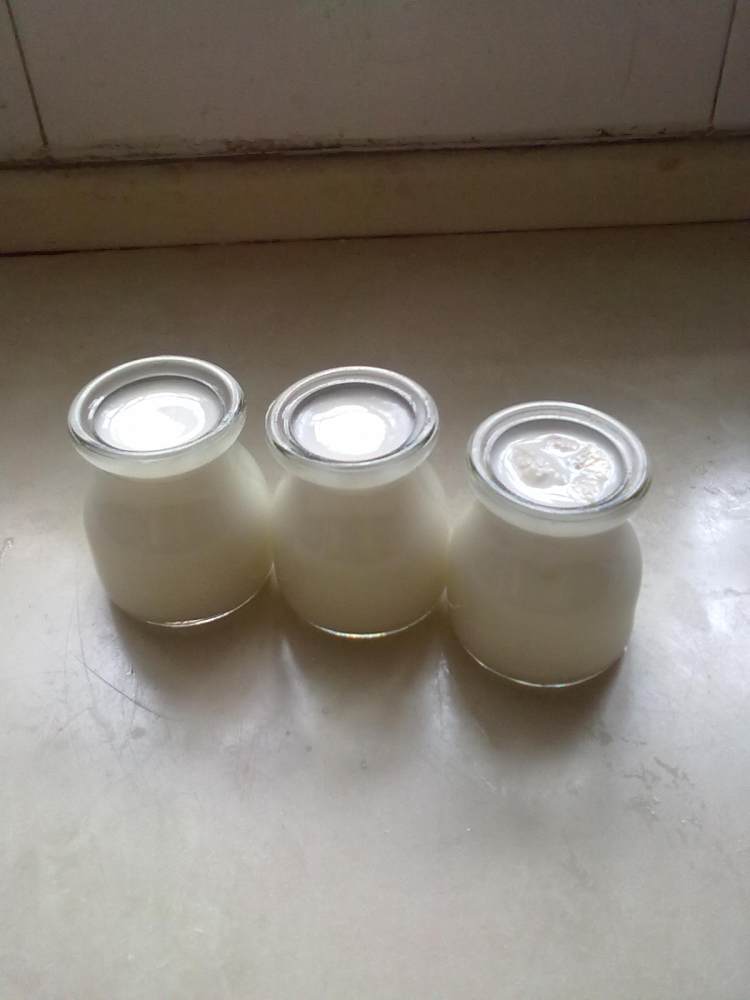 蓝莓牛奶布丁步骤7