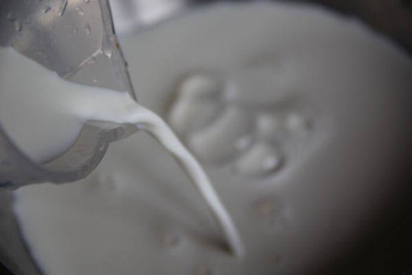 抹茶布丁步骤4