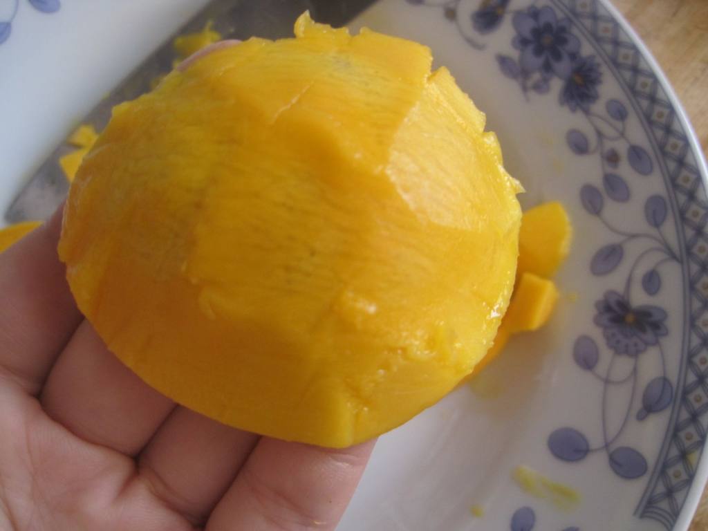 芒果牛奶布丁步骤4