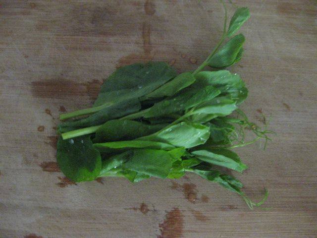 微波青菜鸡蛋羹步骤1