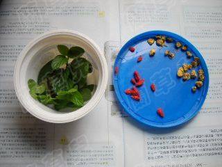 菊花薄荷银耳羹步骤1