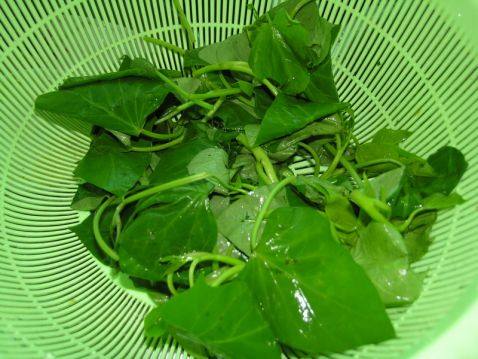蔬菜银鱼羹步骤1