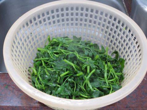空心菜羹步骤5