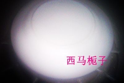 嫩滑海鲜蛋羹步骤3