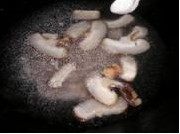 豆腐花菇肉丝羹步骤6