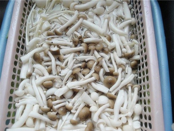 鲜菇四汇羹步骤2