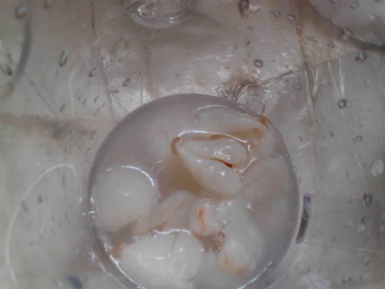 荔枝饮步骤3