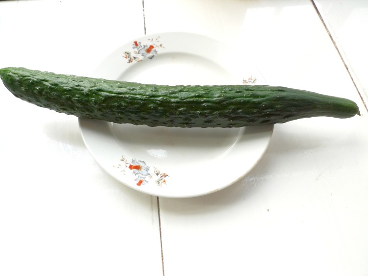黄瓜汁步骤1