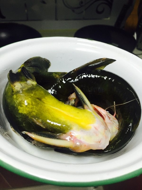 昂刺鱼豆腐汤步骤1