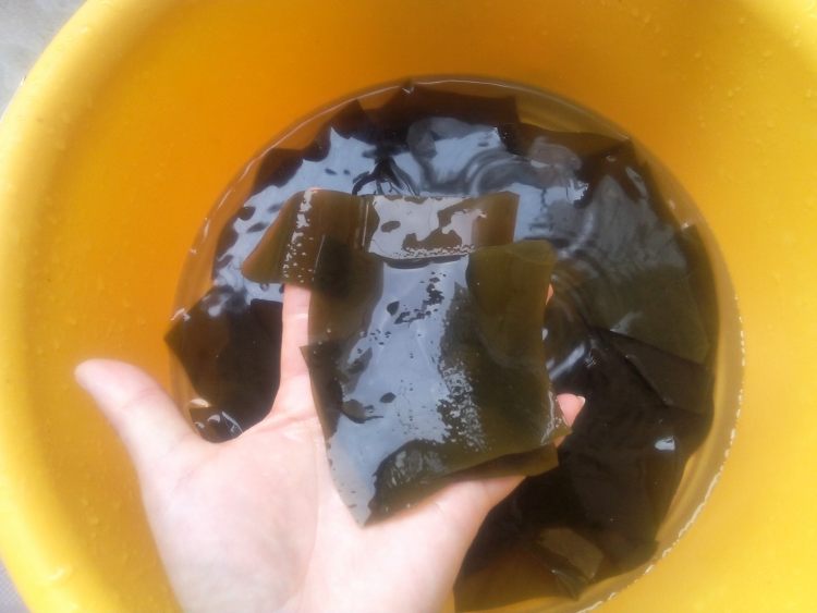 海带干排骨汤步骤7