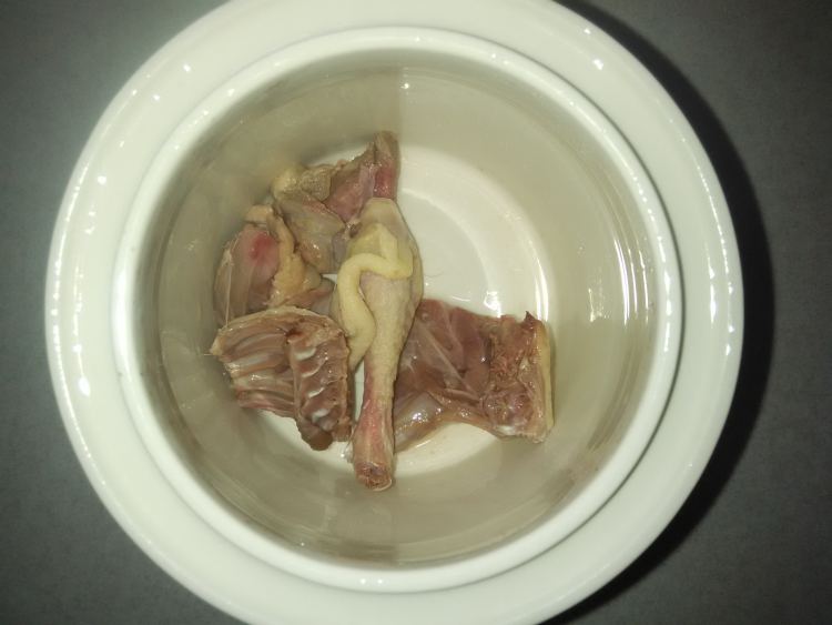 花胶鸽子汤步骤4