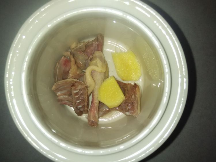 花胶鸽子汤步骤5
