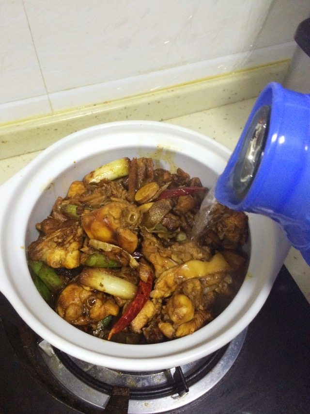 砂锅炖胡萝卜兔肉步骤6