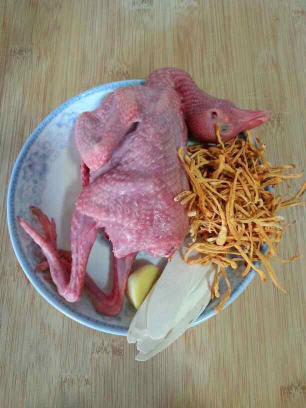 虫草花炖鸽子步骤1