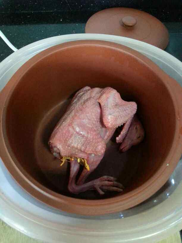虫草花炖鸽子步骤3