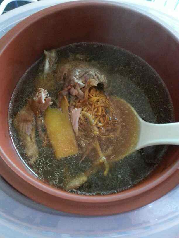 虫草花炖鸽子步骤7