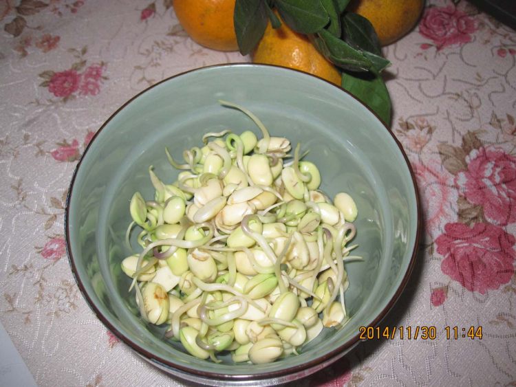砂锅豆腐步骤5