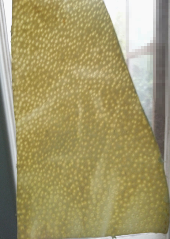 老冰糖蜂蜜柚子茶步骤6